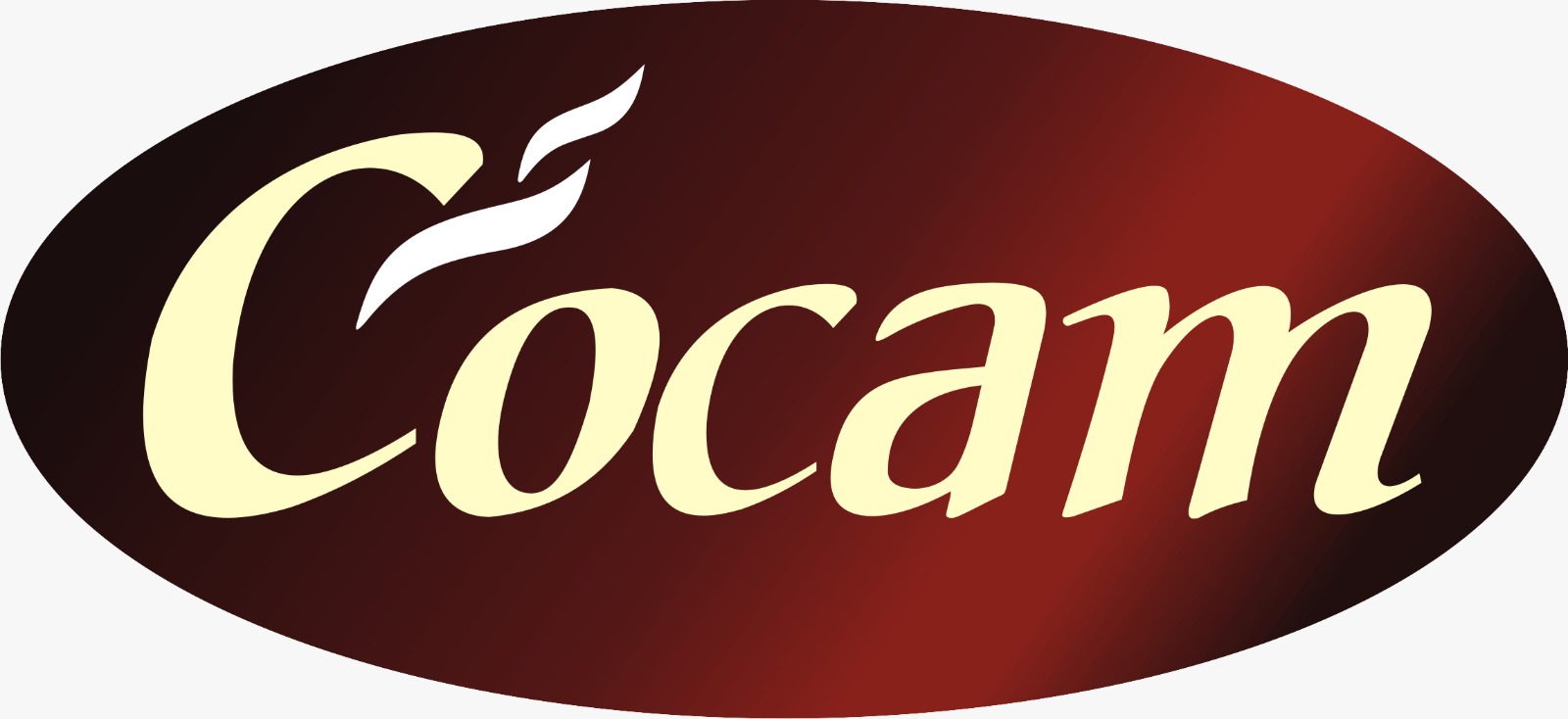 Logo 6