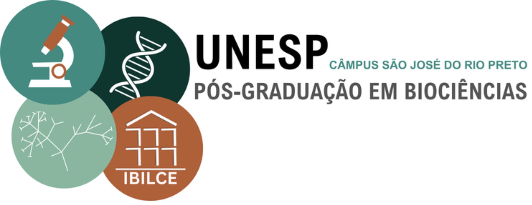 Logo 4